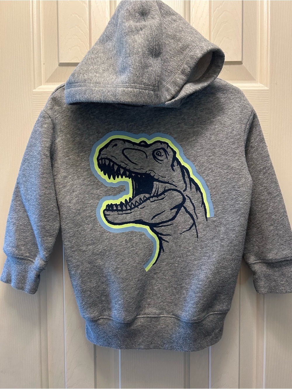 jumping beans Gray Hoodie with Neon Green & Blue Dino Graphic